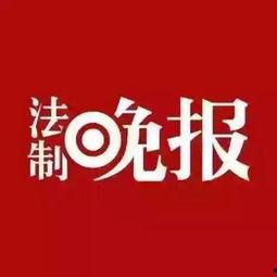 印度生活新闻最新爆料,最新爆料揭示惊人真相，民众热议不已！