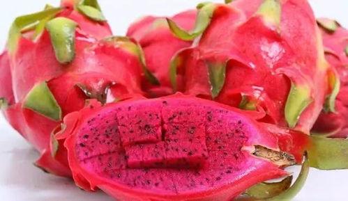 娱乐吃瓜火龙果视频,娱乐吃瓜盛宴，带你领略网络娱乐新潮流