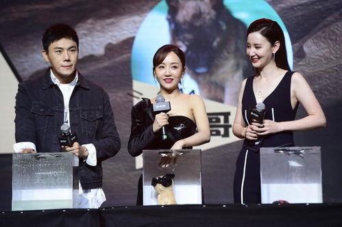 娱乐圈吃瓜爆料长篇合集,揭秘明星幕后真相与八卦传闻