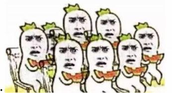 娱乐吃瓜酱南北方差异,娱乐吃瓜酱带你领略南北文化碰撞