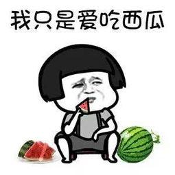 娱乐吃瓜八卦圈