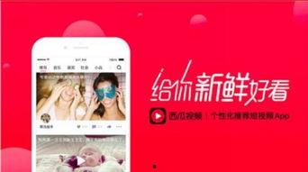 吃瓜娱乐微博视频背景图