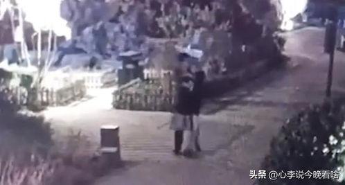 吃瓜视频最全观看,一网打尽热门事件幕后真相