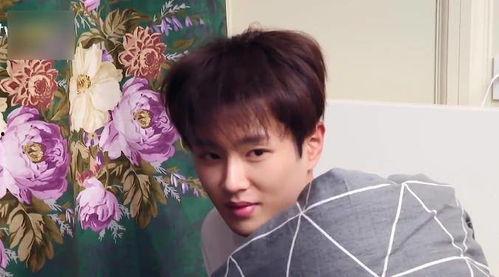 娱乐吃瓜范丞丞,娱乐圈吃瓜达人，揭秘娱乐圈幕后故事