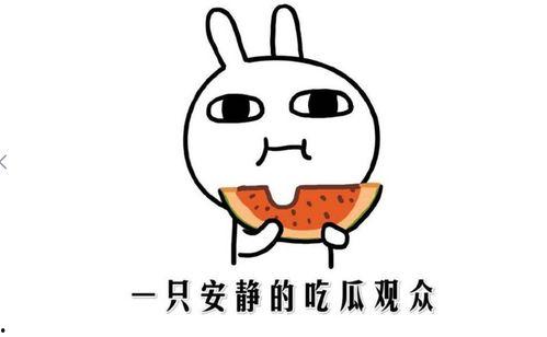 吃瓜表情是什么意思啊内涵句子