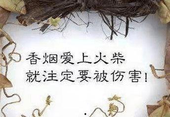 吃瓜表情是什么意思啊内涵句子