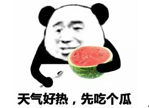 娱乐吃瓜表情图片可爱版
