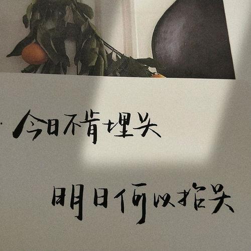 吃瓜娱乐文案句子图片