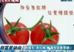 娱乐营销吃瓜,吃瓜群众的狂欢盛宴